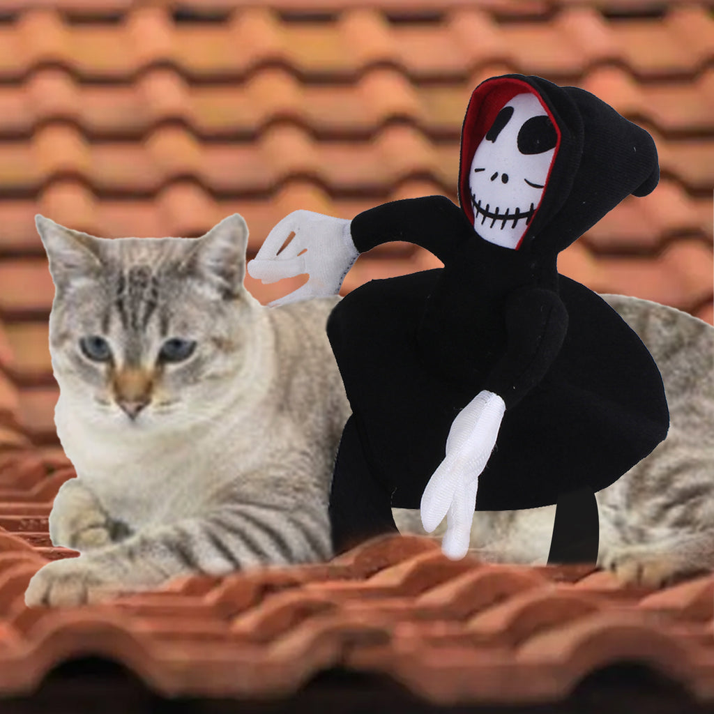 Funny Pet Halloween Costume Decoration Dress Up Cosplay Clothes Spider Pumpkin