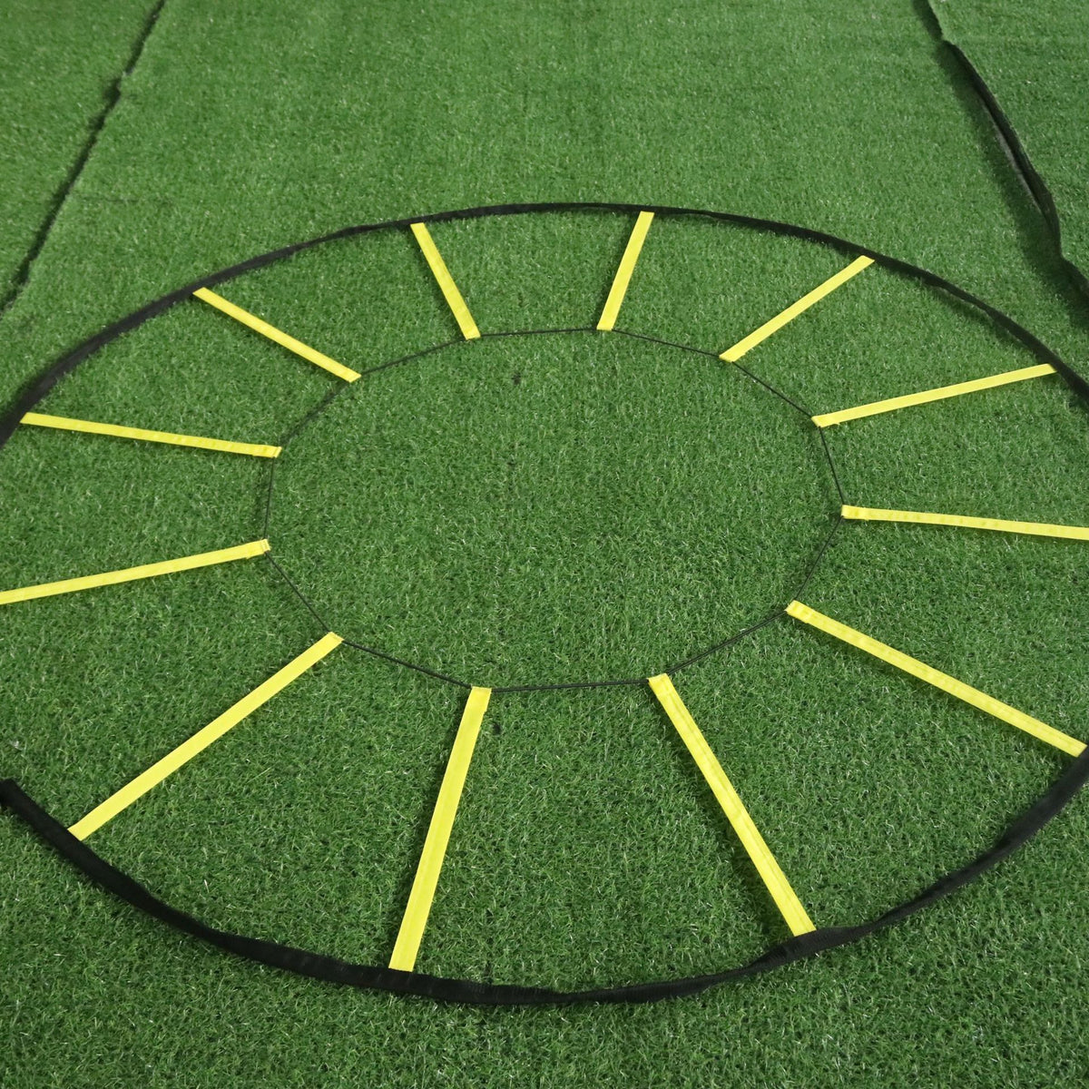 Ladder Pace Training Speed Rope