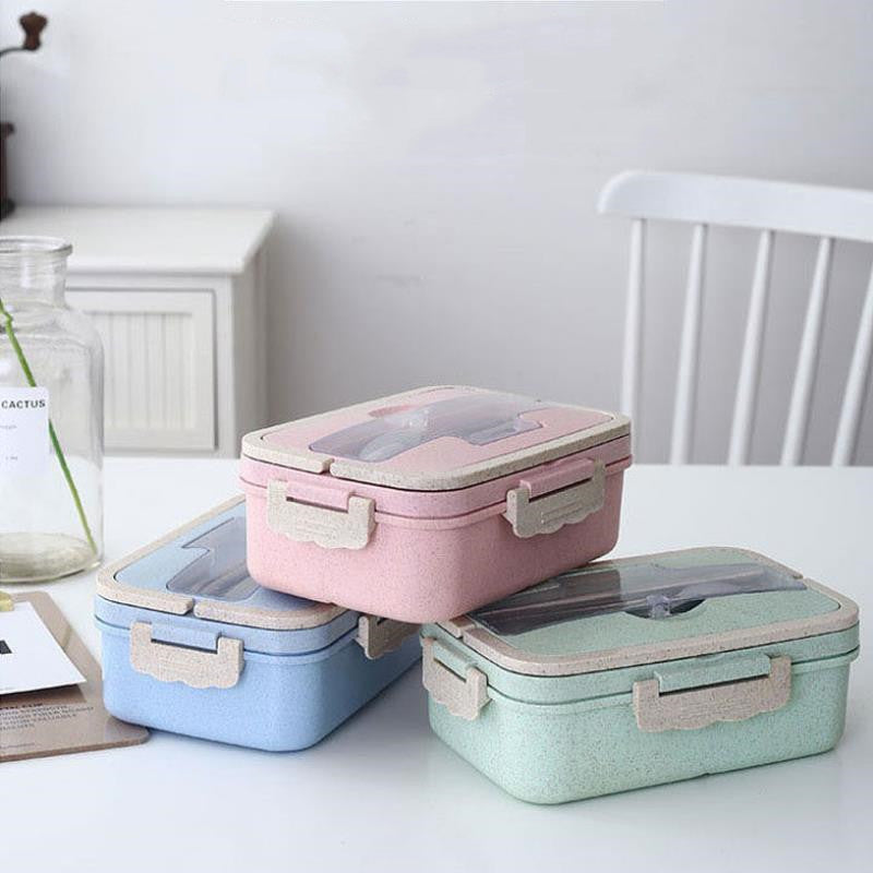 Student Lunch Box Three Grid Plastic