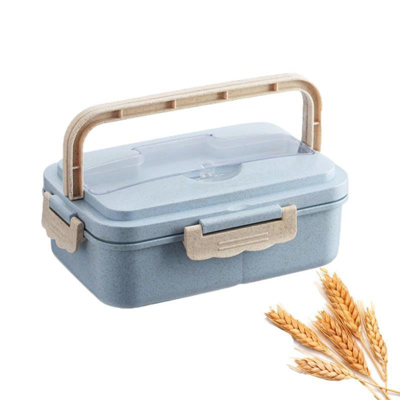 Student Lunch Box Three Grid Plastic