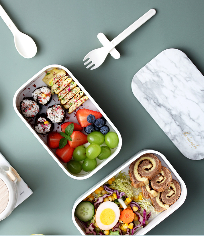 Double Bento Box Japanese Lunch