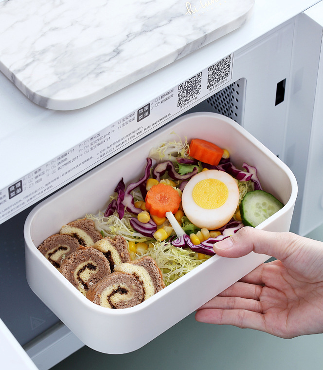 Double Bento Box Japanese Lunch
