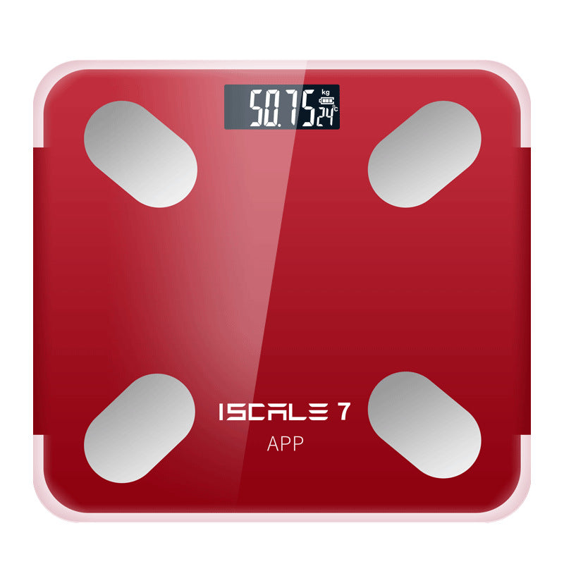 Weight Scale Intelligent Body