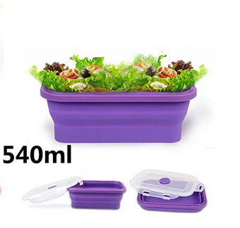 Folding Lunch Box