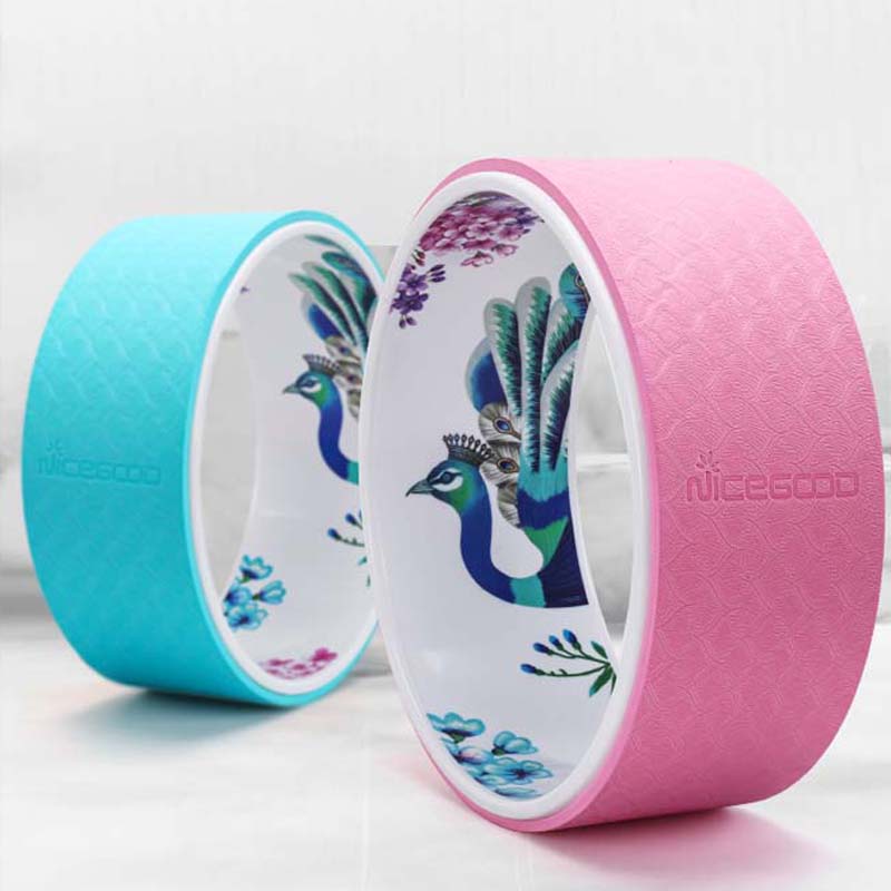 Yoga Goddess Apparatus Beginner Pilates Ring