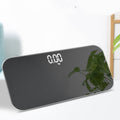 Portable Electronic Weight Scale