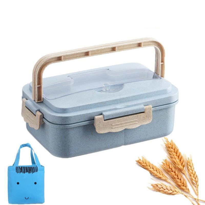 Student Lunch Box Three Grid Plastic