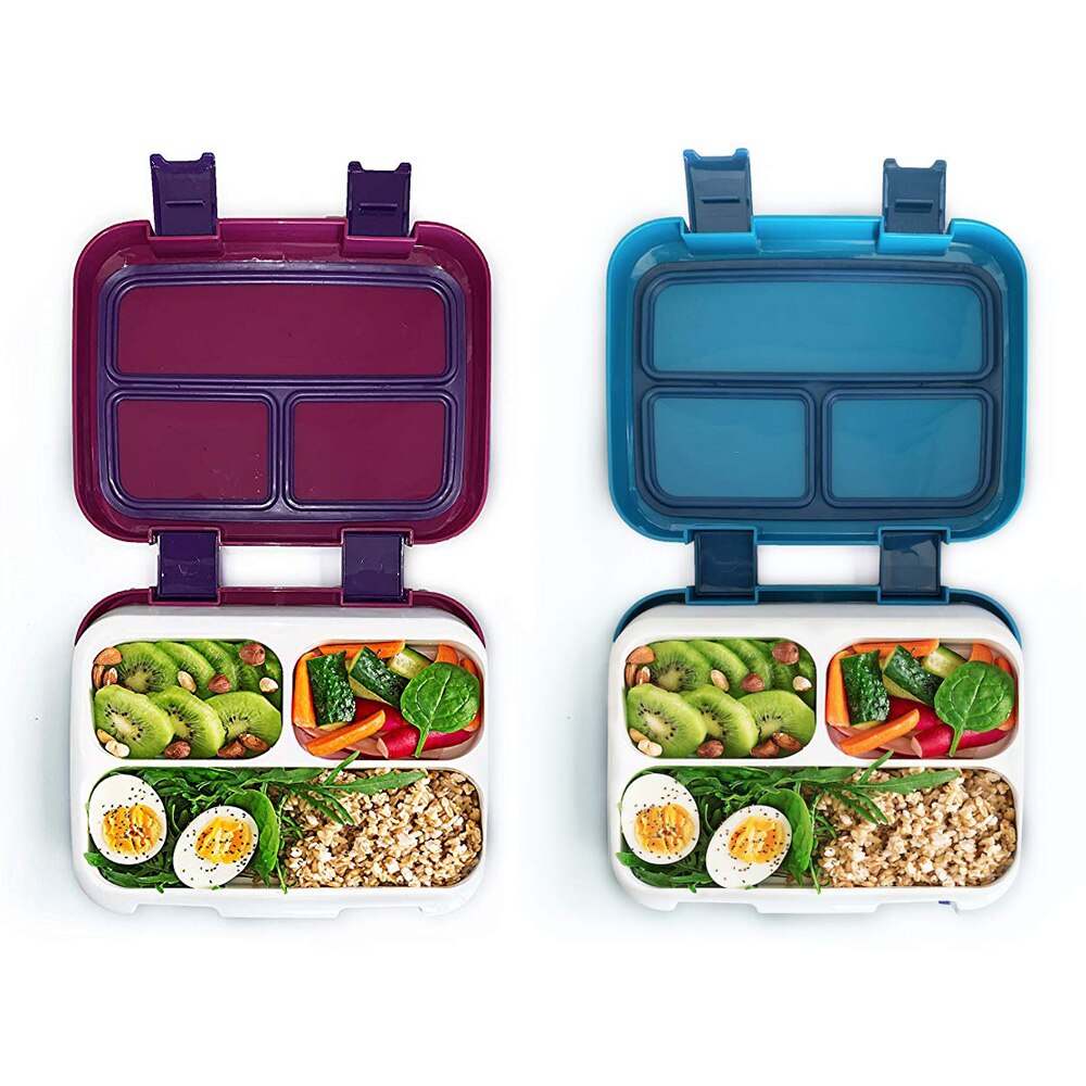 Japanese Sealed Lunch Box