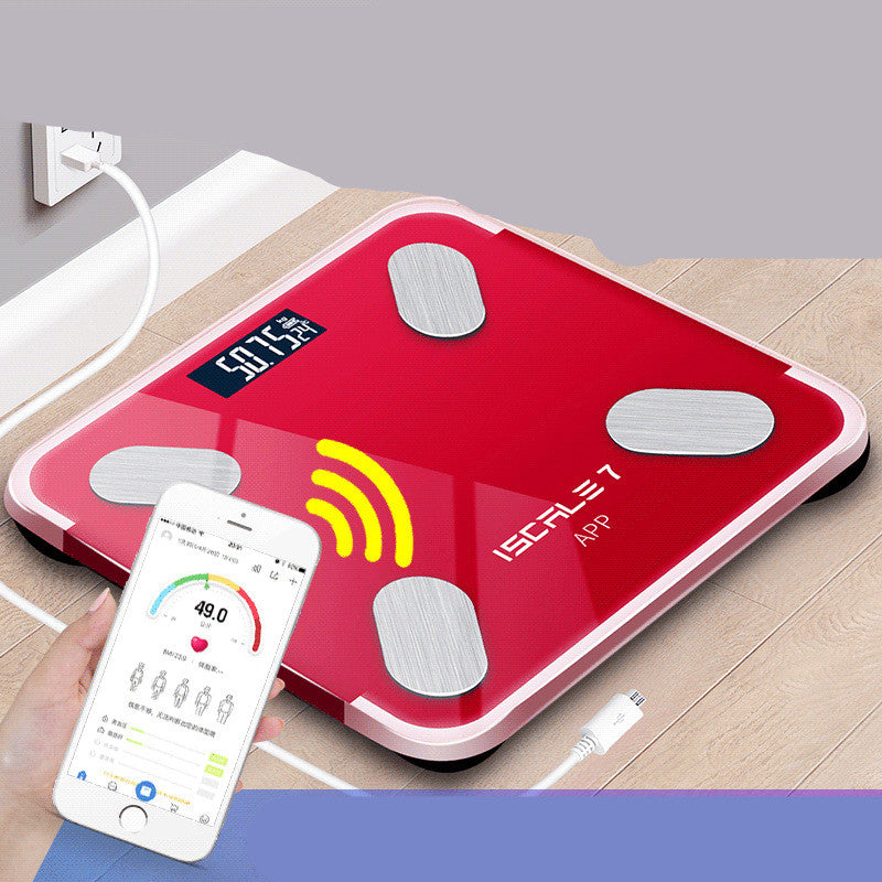 Weight Scale Intelligent Body