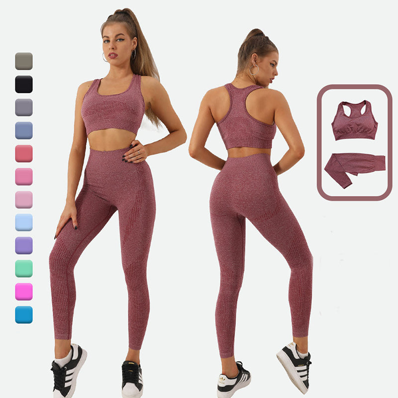 2PCS Seamless Yoga Set Women Tracksuit High Waist Leggings Workout Sportswear