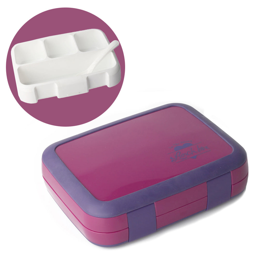 Japanese Sealed Lunch Box
