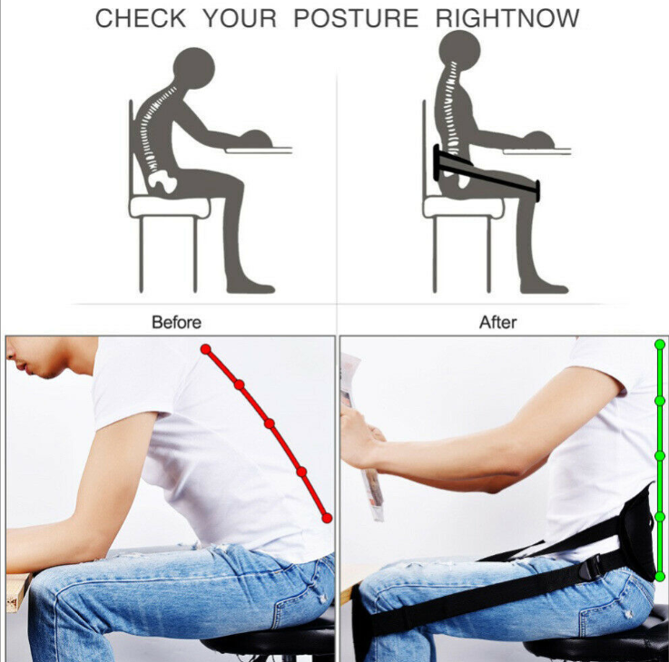 Portable Back Support Belt Cushion For Better Sitting Posture Perfect Waist