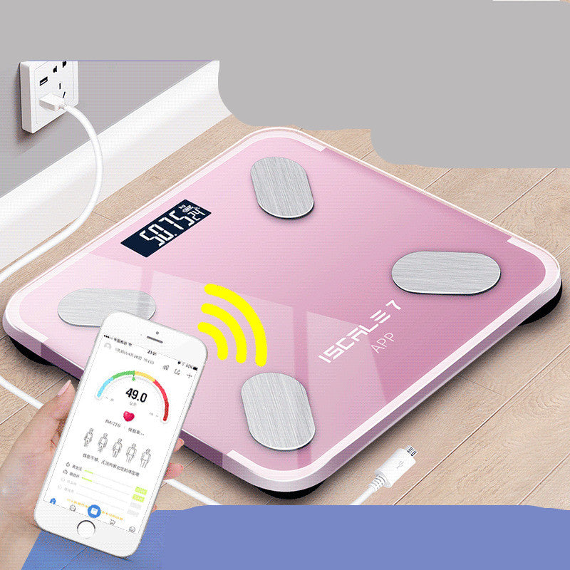 Weight Scale Intelligent Body