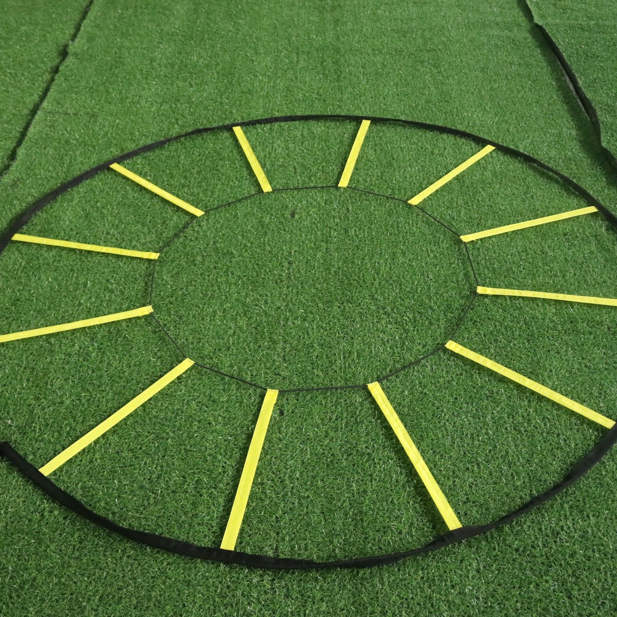 Ladder Pace Training Speed Rope