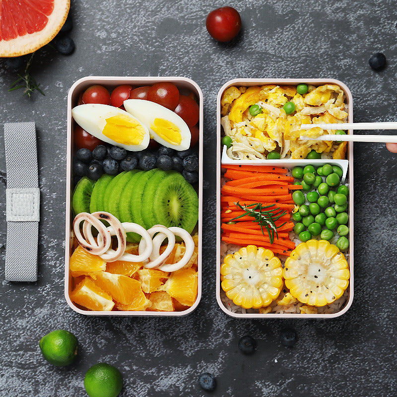 Double Plastic Lunch Box