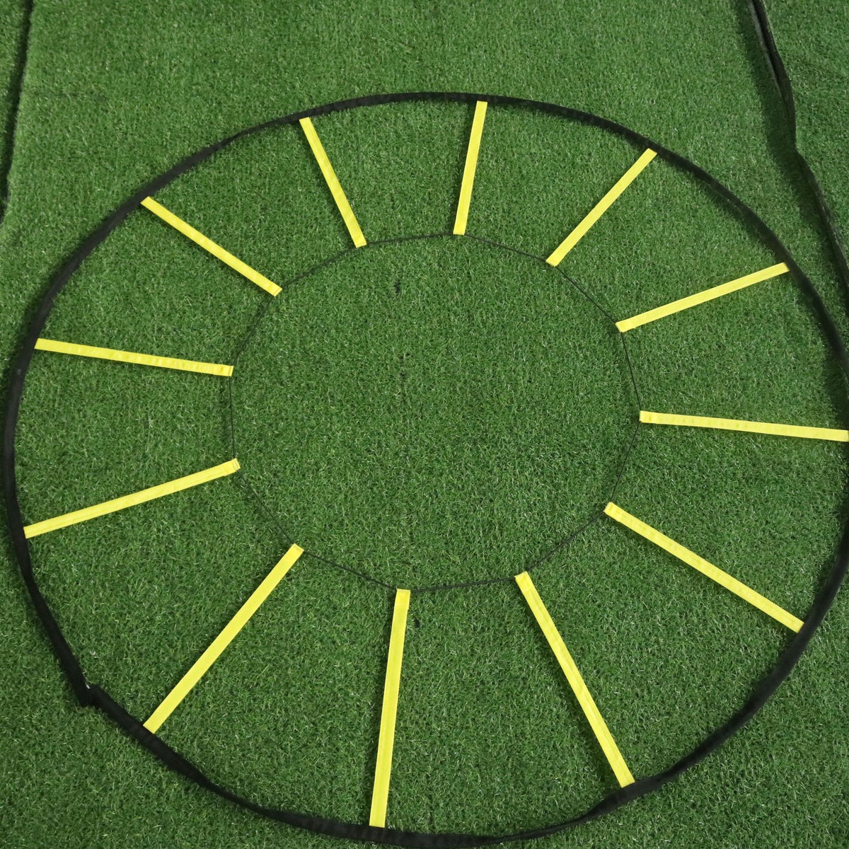 Ladder Pace Training Speed Rope