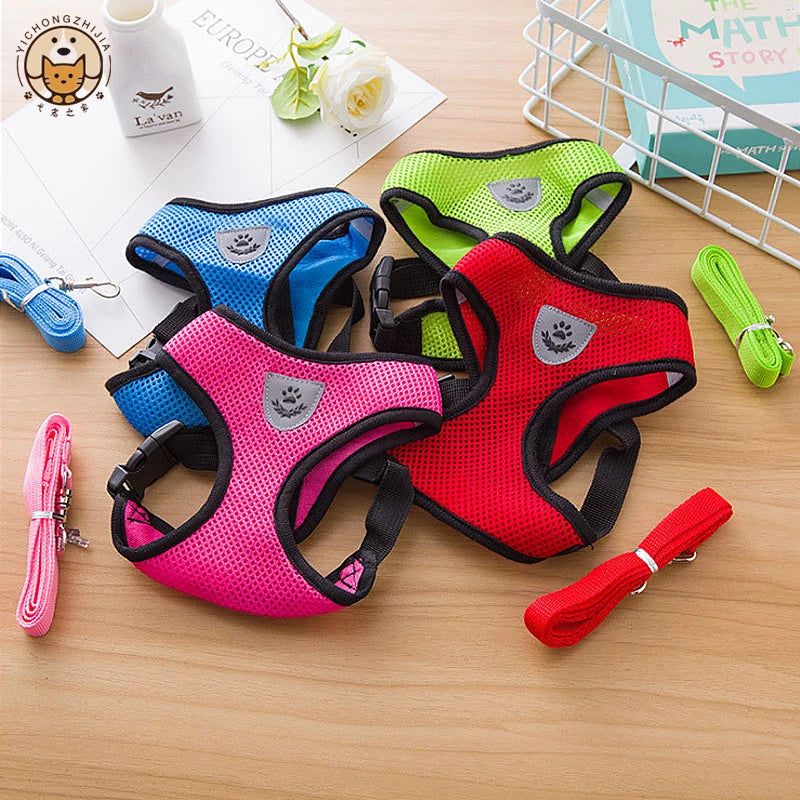 Hot summer small dog pet chest and back breathable dog chest and back suit cat outdoor traction rope children's collar