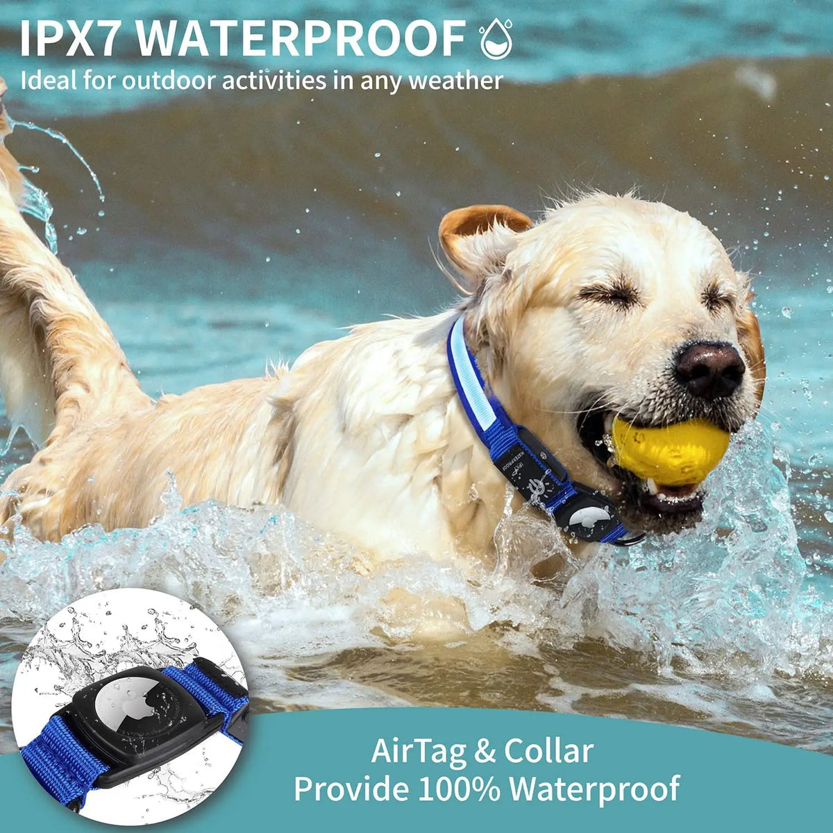 Waterproof LED Dog Collar with AirTag Holder – USB Rechargeable Light-Up Collar