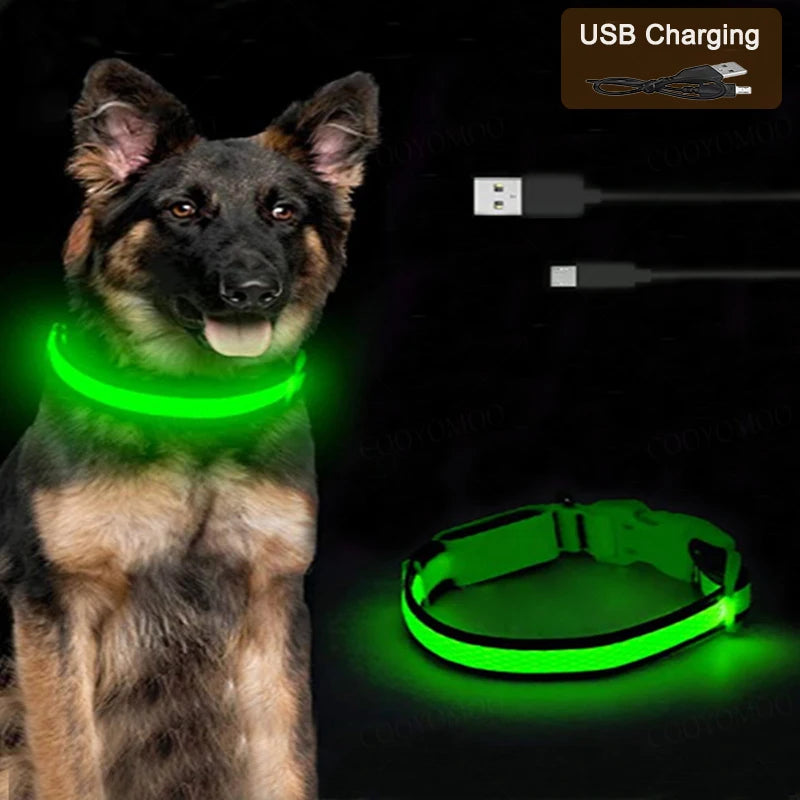 3 Modes Dog Luminous Charge Collar Led USB Cat Dogs Collars Detachable Night Led Glow Dog Loss Prevention Collar Pet Accessories