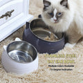 Trendy stainless steel double bowl for cats and dogs, 15 degree tilt, anti-neck strain, pet feeder, slanted mouth, best selling pet supplies