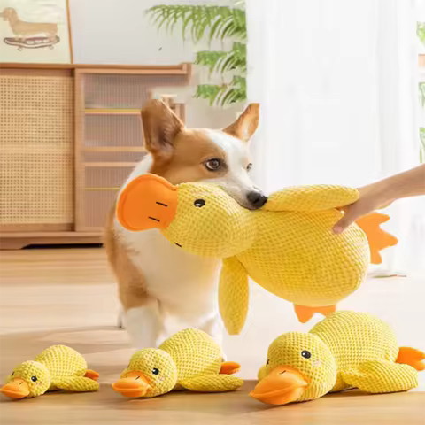 Dog sleeping with a dog hugging duck toy to relieve boredom of little yellow ducks. Interactive Plush Doll Pet Supplies