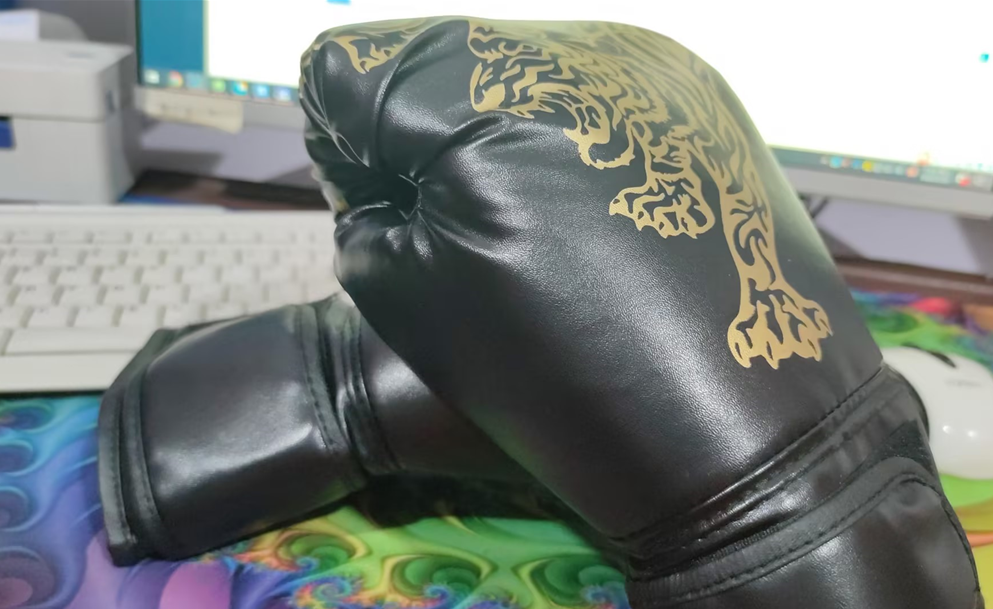 Flame Tiger Boxing Gloves Training