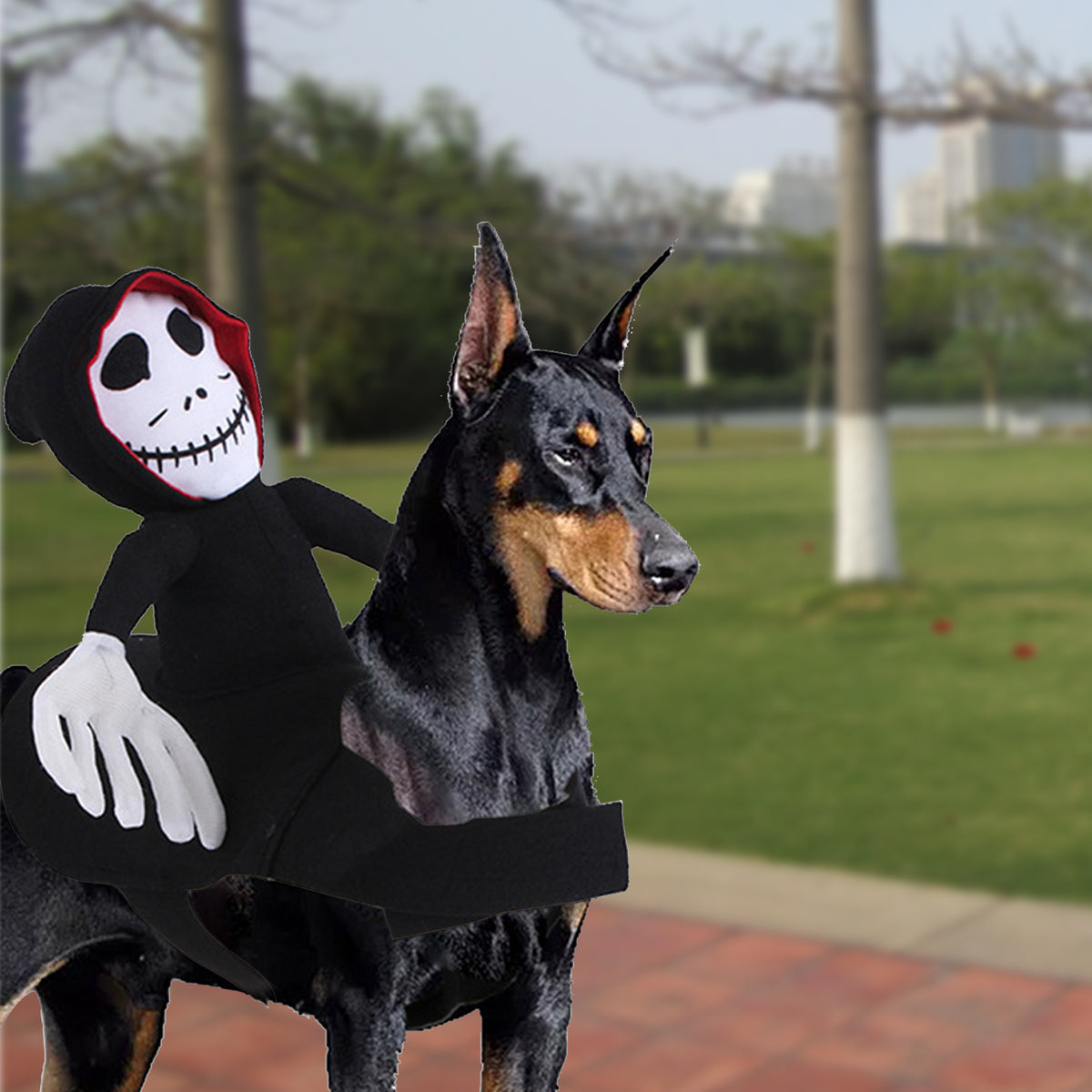 Funny Pet Halloween Costume Decoration Dress Up Cosplay Clothes Spider Pumpkin